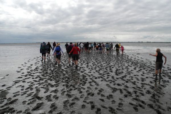 wadlopen-214A2BA9D3-9B08-61BA-A969-A1E8319BA12C.jpg