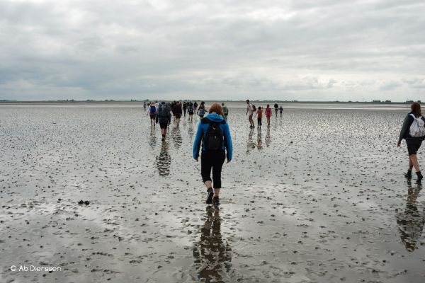 wadlopen-295CCE6442-8173-B4F6-FBC6-829D2584FE7F.jpg