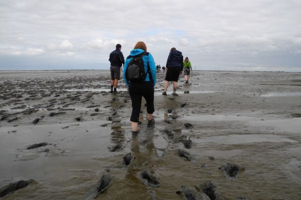 wadlopen-37F2DBBD77-F76E-78AC-8666-C15B5839B6CF.jpg