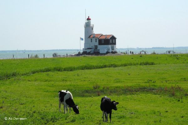 nhol2012-23FD75FF68-2604-8802-6003-02962A499334.jpg
