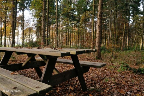 herfst-8D1F80CF7-03D8-85EC-F974-472257C925A6.jpg