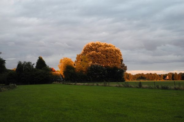landschap-56D959CBC-5E99-288F-14F1-0CA3710EF341.jpg